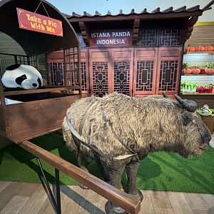 Gift Shop - Giant Panda Complex