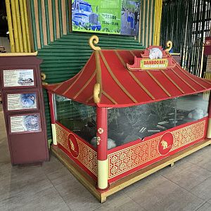Indomalayan Bamboo Rat Exhibit - Giant Panda Complex