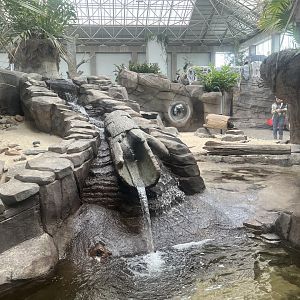 Asian Small-clawed Otter Exhibit