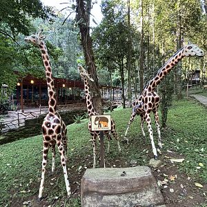 Giraffe Statues