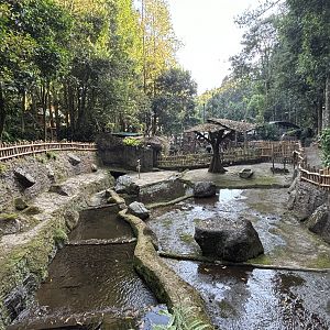 Javan Rusa Deer Exhibit