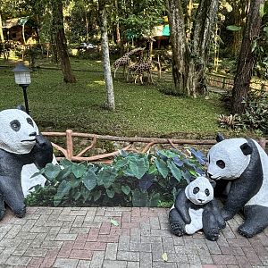 Giant Panda Statues