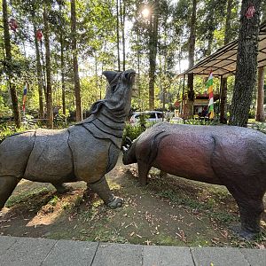 Rhino Statues