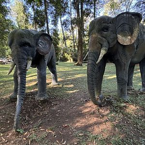 Elephant Statues