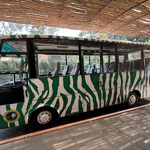Safari Bus