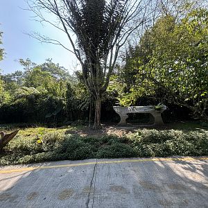 Safari - Malayan Tapir Exhibit