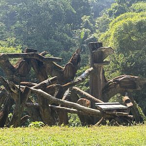 Safari - African Leopard Exhibit - see the cat?