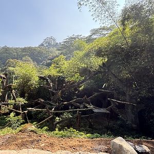 Safari - African Leopard Exhibit