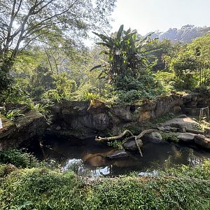 Safari - Small-clawed Otter Exhibit
