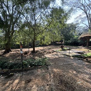 Safari - Wisent Exhibit