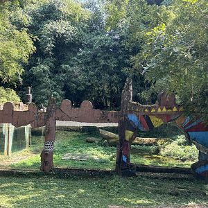 Safari - Lion Exhibit #2