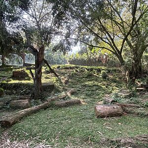 Safari - Tiger Exhibit #1