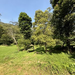 Safari - Cheetah Exhibit