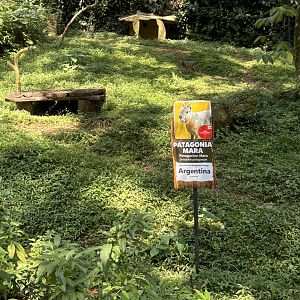 Safari - Mara Exhibit