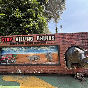 Stop Killing Rhinos