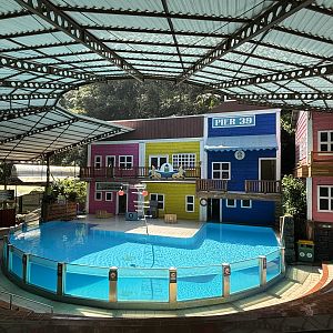 California Sea Lion Exhibit