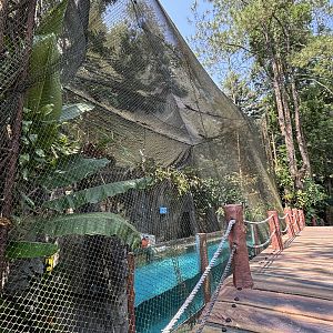 Steller Sea Lion Exhibit