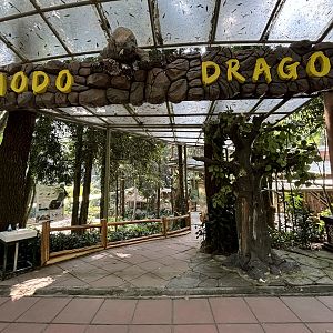 Komodo Dragon Complex - 5 or 6 exhibits