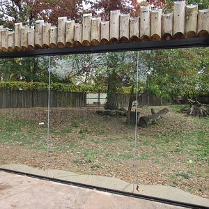 African Painted Dog Exhibit, new glass viewing window