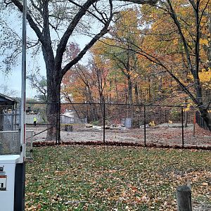 Emu and Gray Kangaroo Exhibit Demolition 2
