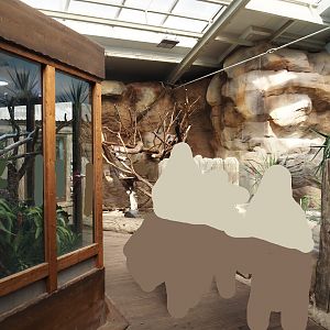 Caribbean greenhouse at the back of the aquarium building, 2024-06-08