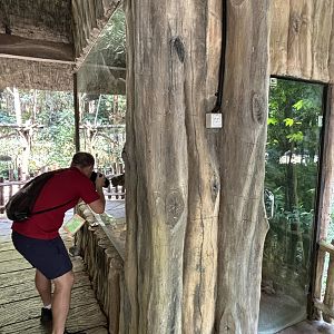 Zoo Nerd + Javan Mongoose Exhibit