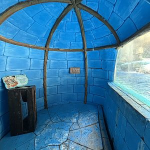 Humboldt Penguin Exhibit Igloo