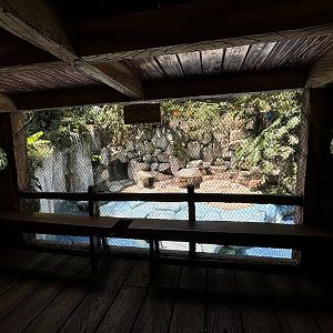 Humboldt Penguin Exhibit