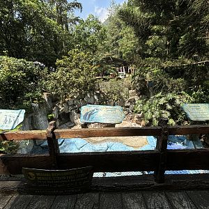 Humboldt Penguin Exhibit