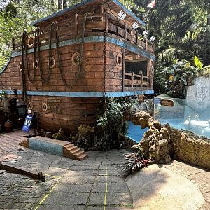 Humboldt Penguin Exhibit - ship theme