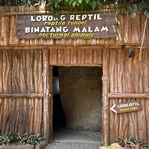 Reptile Tunnel + Nocturnal House