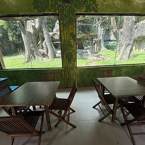 Bornean Orangutan Exhibit