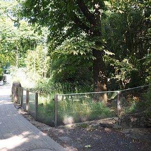 Disused tortoise paddock next to the Rio Negro house, 2024-06-08
