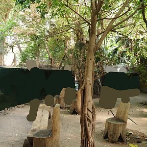 View in the Rio Negro house, 2024-06-08