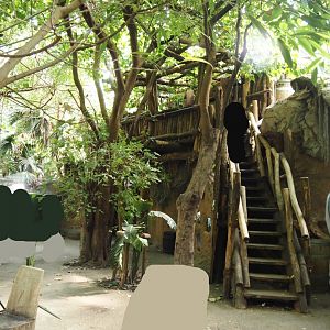 Rio Negro house - Access to upper viewing area, 2024-06-08