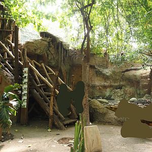 Rio Negro house - Access to upper viewing area and part of former lowland paca exhibit, 2024-06-08