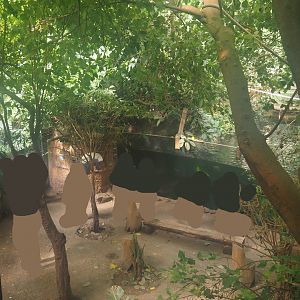 Rio Negro house - View from upper viewing area, 2024-06-08