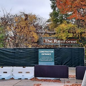 Primate Forest Update 11/1