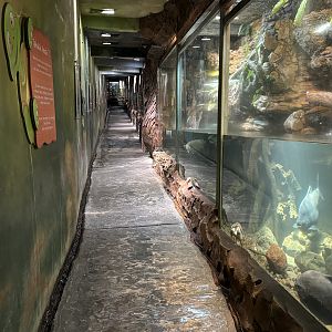 Narrow Aquarium Tunnel