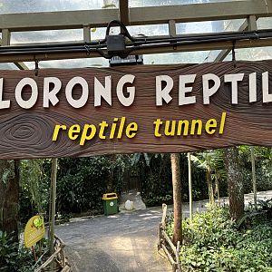 Reptile Tunnel Sign