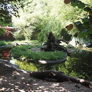 Asian small-clawed otter exhibit, 2024-06-08