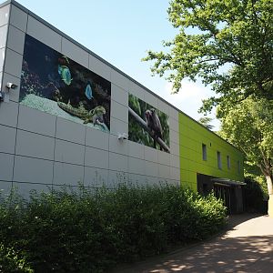 Wall pictures and toilet block at the backside of the aquarium building, 2024-06-08