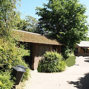 Spectacled bear viewing hut and Bärenkiosk snacks and drinks stand, 2024-06-08