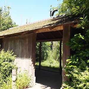 Spectacled bear viewing hut, 2024-06-08