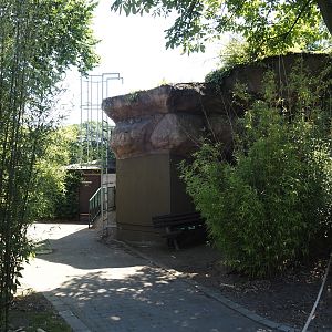 Spectacled bear holding, 2024-06-08