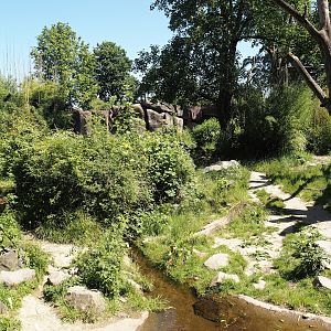 Spectacled bear exhibit, 2024-06-08
