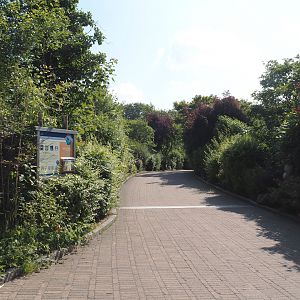 Beginning of landscape bridge over railway and highway connecting the two parts of the zoo, 2024-06-08