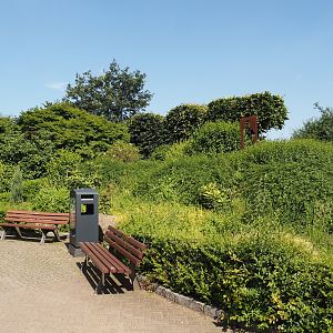 Landscaping on bridge over railway and highway connecting the two parts of the zoo, 2024-06-08