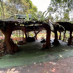 Chimpanzee Exhibit - Viewing Area
