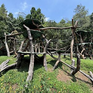 Bornean Orangutan Exhibit